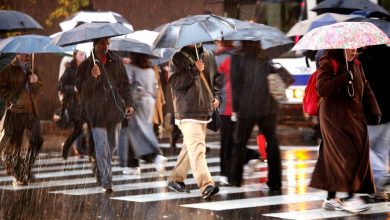 Photo of Weather Forecast : राजस्थान के 16 जिलों में भारी बारिश को लेकर Yellow Alert