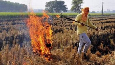 Photo of किसानों को सब्सिडी नहीं मिली, पंजाब में फिर पराली जलाना शुरू